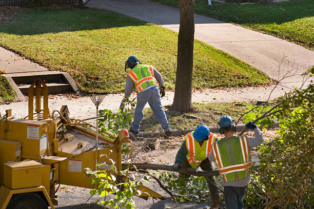 Lawn Pest Prevention in Greenfield, IA